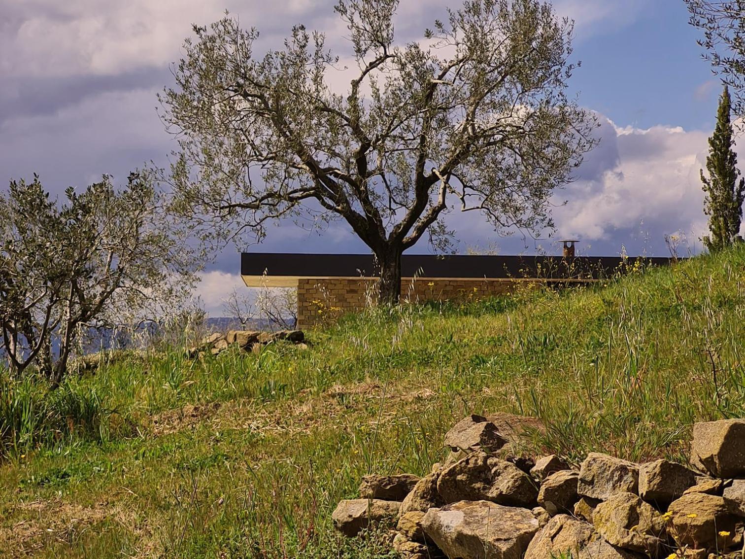 Poggio Cagnano Bed & Breakfast Manciano Exterior foto